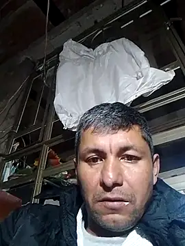 TattyFoxglove webcam