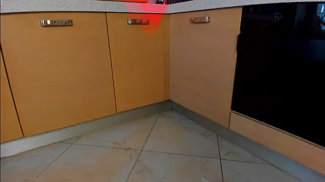 AnnLevine webcam