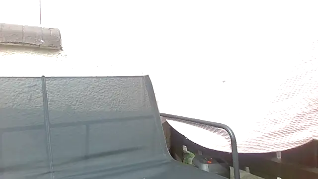 Forbidden-Irish-x webcam