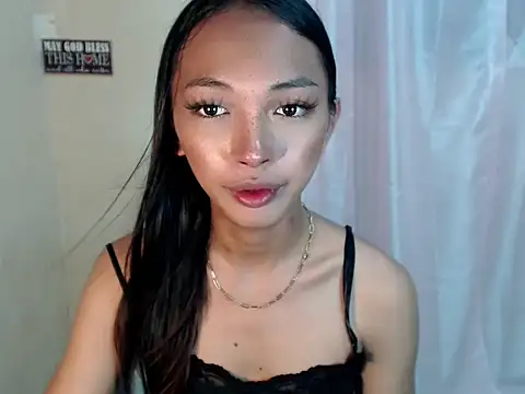 SimiLause webcam