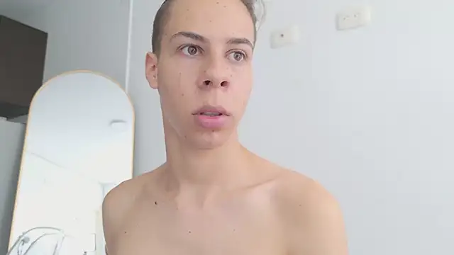 grey___27 webcam