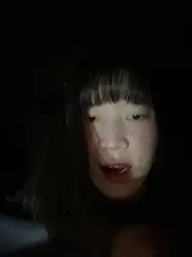 littleqiu webcam