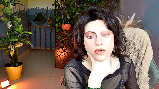 LidaDarknet webcam