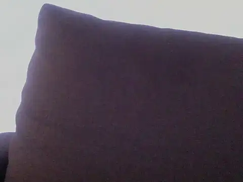 Sviievmla webcam
