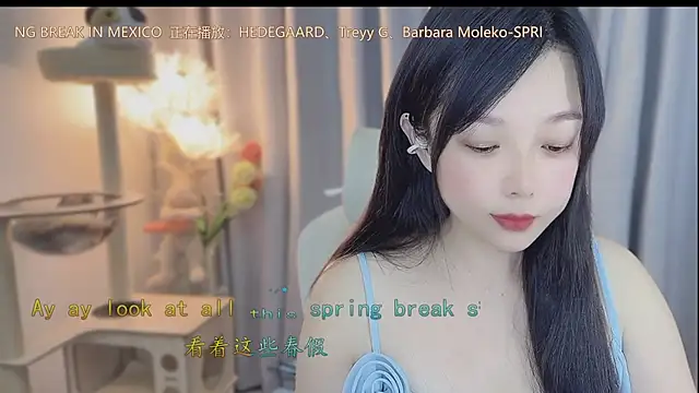 facai-feifei webcam