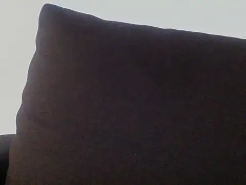Sviievmla webcam