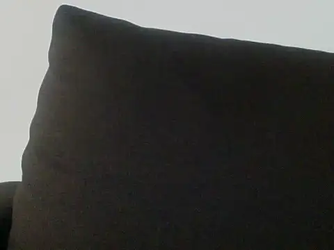 Sviievmla webcam