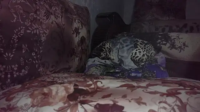 jamismu webcam