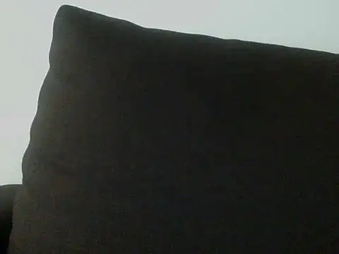 Sviievmla webcam