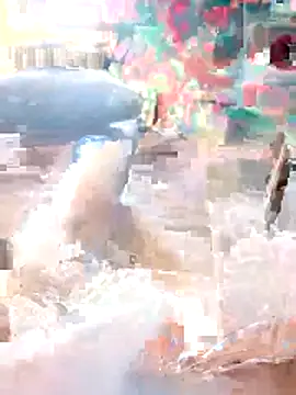 a7ex webcam