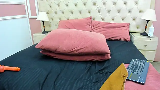 emhavega webcam