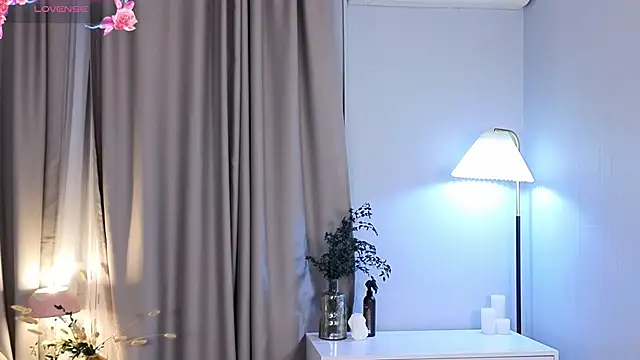 Vixaria webcam