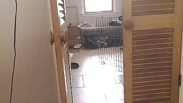 studlyhardwoodd webcam