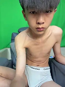 DD-101 webcam
