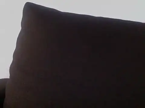 Sviievmla webcam
