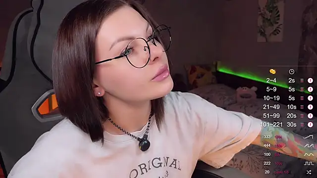 Alaska_ya webcam