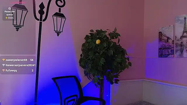 Inari_Okami_ webcam