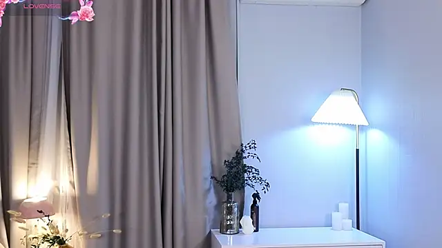 Vixaria webcam