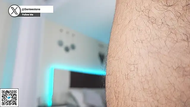 DanteeStone webcam