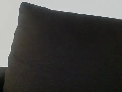 Sviievmla webcam