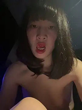littleqiu webcam