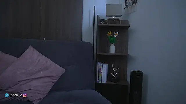 te_para_dos webcam