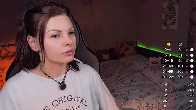 Alaska_ya webcam