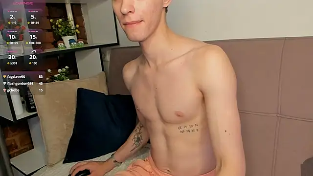 Shadow_blink webcam