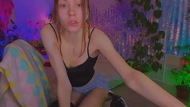 poli__ webcam