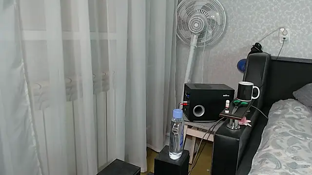 litle_owl webcam