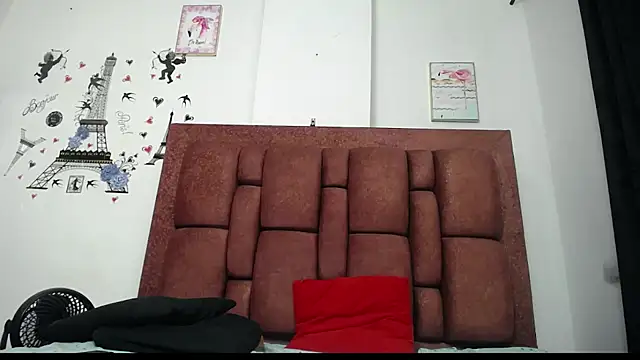 varascott webcam