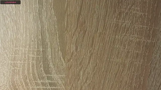 NoFace_Model webcam