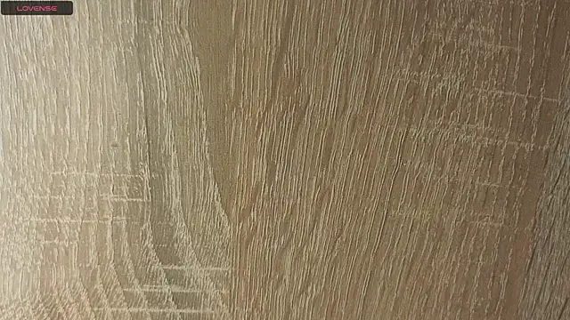 NoFace_Model webcam