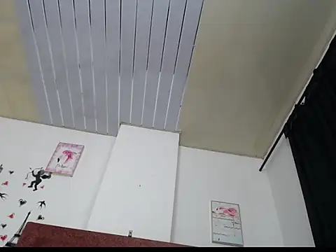 varascott webcam