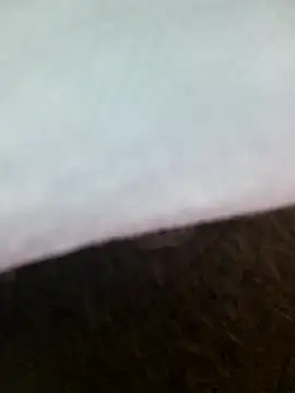 florin421 webcam
