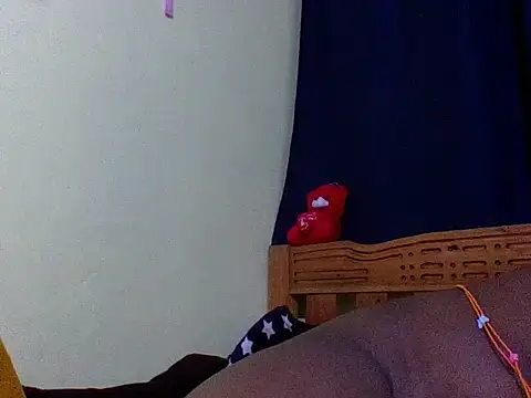 Roseroca33 webcam