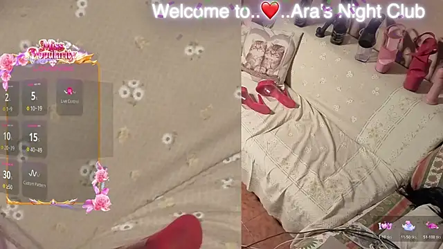 Ara-Trans webcam