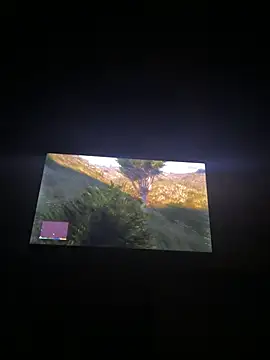 cowboy_420k webcam
