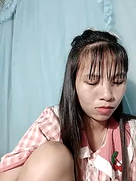 Wily-06 webcam