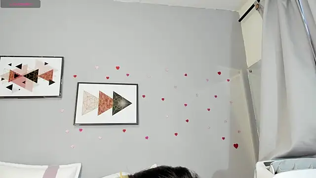 PauleteW10 webcam