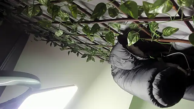 Ivy_Brown_ webcam