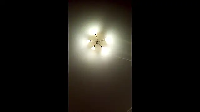 DelicaBrome webcam