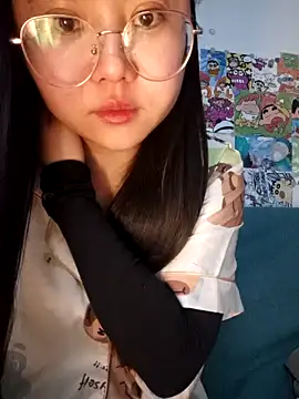 vvvan2026 webcam