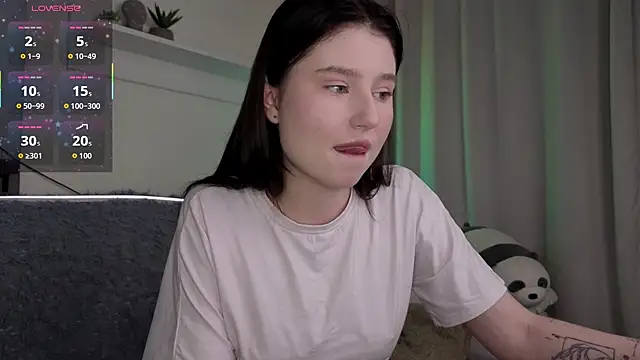 _Lua__ webcam