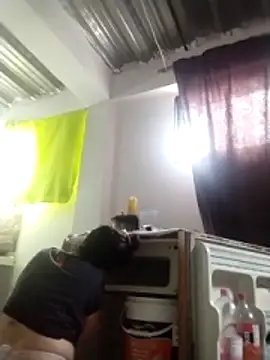 vegonicarouge webcam
