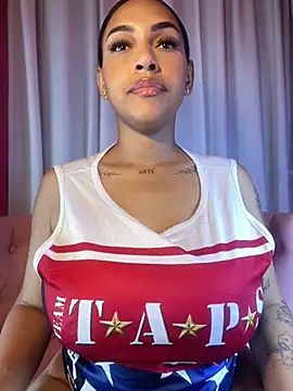 MaverickGray webcam