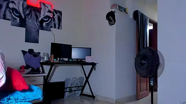 ray_long222 webcam