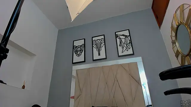 adams_bobby webcam