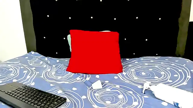 vfridaper webcam