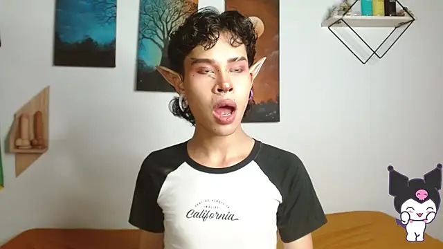 nicolai_a webcam